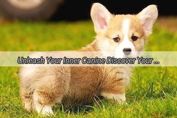 Unleash Your Inner Canine Discover Your Doggy Type with Our Exciting Quiz